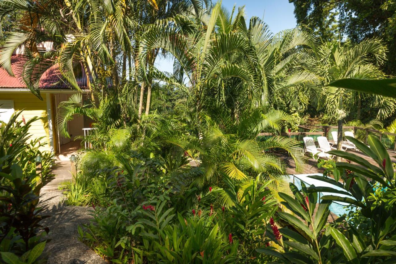 Les Jardins De L'Esperance Villa Bouillante Exteriör bild