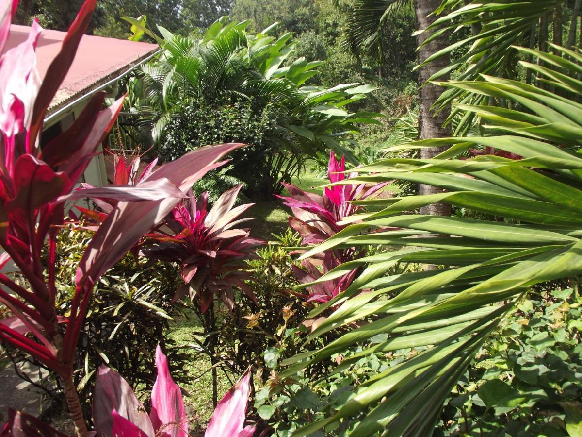 Les Jardins De L'Esperance Villa Bouillante Exteriör bild